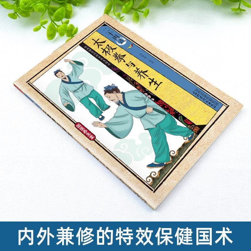 24가지 스타일의 태극권과 건강 운동 일러스트레이션된  - Health & Wellness Alegria 리뷰 및 가격