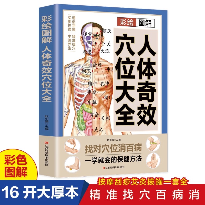 경혈 마사지 및 전통 중국 의학 건강 보존 요법에 대한 - Health & Wellness Alegria 리뷰 및 가격